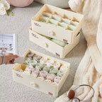 BOX004 - Underwear Storage Organizer Box image 0