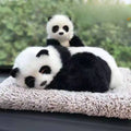 TYP-165 - Lifelike Panda Plush Car Decor - Mother & Baby image 0