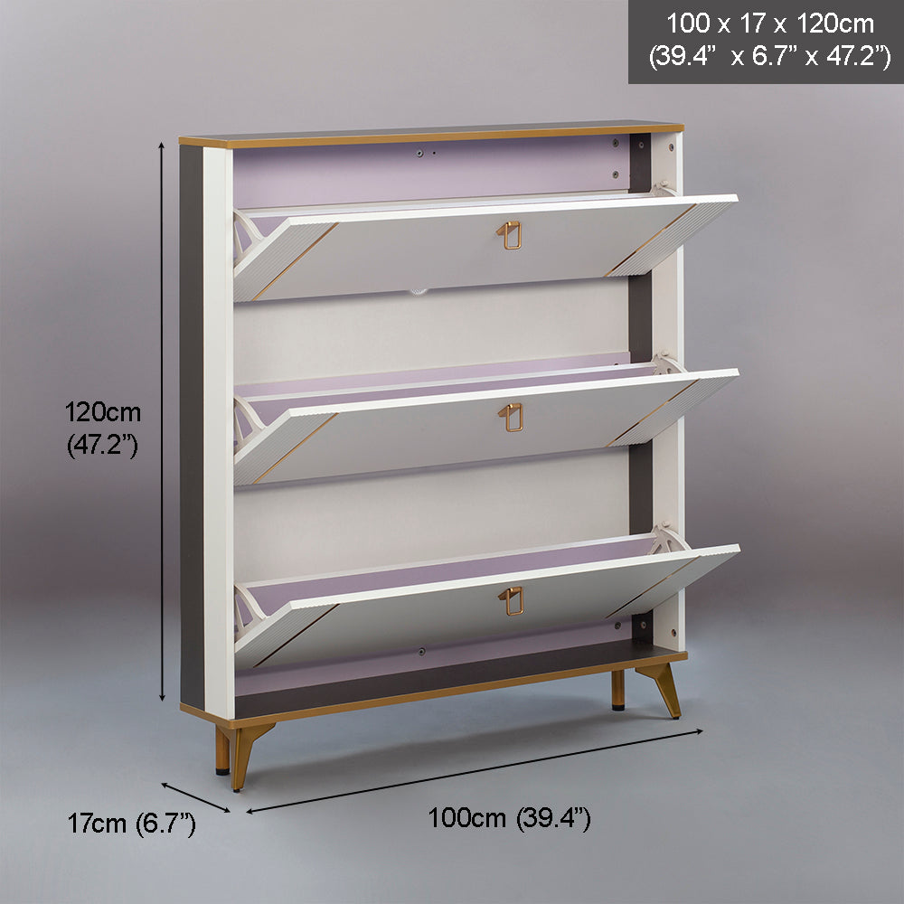SOCE042 - Modern Minimalist Slim Shoe Cabinet image 8