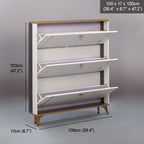 SOCE042 - Modern Minimalist Slim Shoe Cabinet image 8