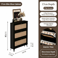 SOCE076 - Modern Black Rattan Shoe Cabinet with 3 Flip Drawers