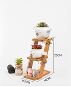 PS033 - Multi-Layer Balcony Wooden Tabletop Flower Stand image 2