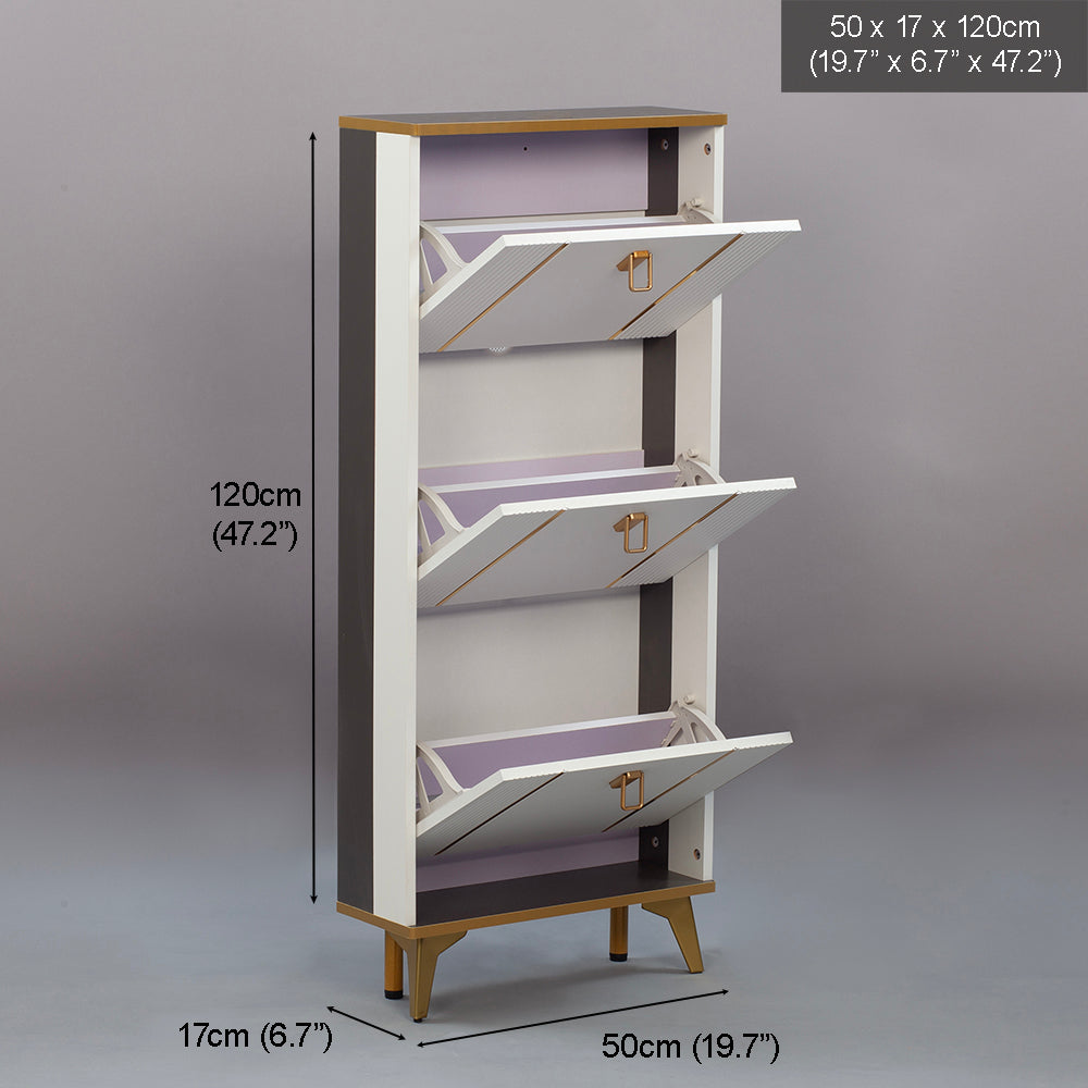SOCE042 - Modern Minimalist Slim Shoe Cabinet image 4