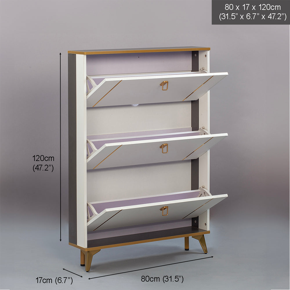 SOCE042 - Modern Minimalist Slim Shoe Cabinet image 6
