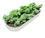 PS028 - Garden Bed Planting Box Vegetable Box Flower Bed Fence image 0