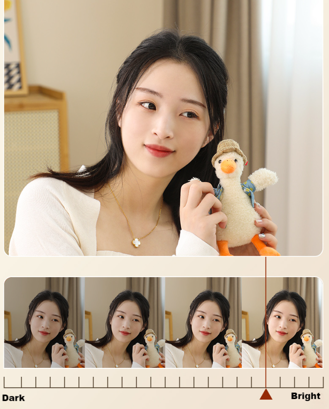 VAN003 - Rotatable LED Desktop Vanity Mirror – 3 Color Adjustable Makeup Mirror image 3