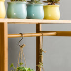 PS047 - Multi-Functional Bamboo Plant Stand – Display Rack image 2