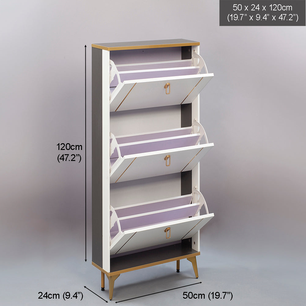 SOCE042 - Modern Minimalist Slim Shoe Cabinet image 5